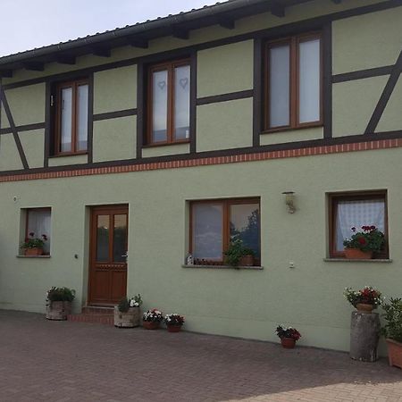 Ferienhaus Am Stadtpark Ballenstedt Dış mekan fotoğraf